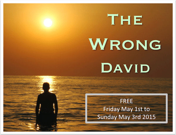 The Wrong David by Christa Wojo