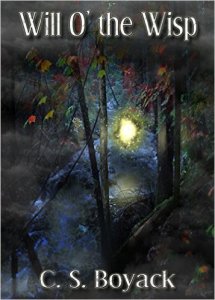 51wLqZQ74kL._SX355_BO1,204,203,200_